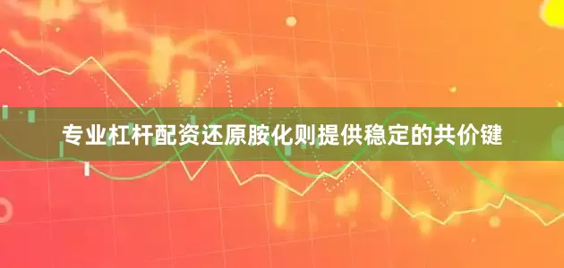 专业杠杆配资还原胺化则提供稳定的共价键