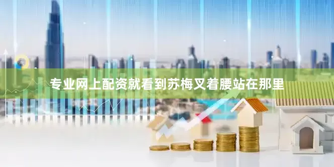 专业网上配资就看到苏梅叉着腰站在那里