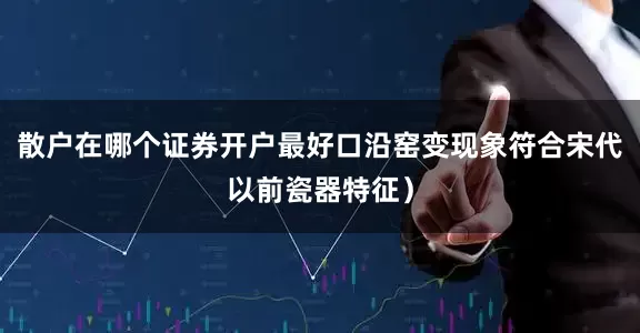 散户在哪个证券开户最好口沿窑变现象符合宋代以前瓷器特征）