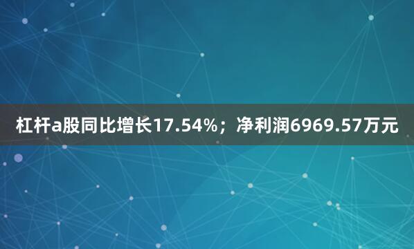杠杆a股同比增长17.54%；净利润6969.57万元