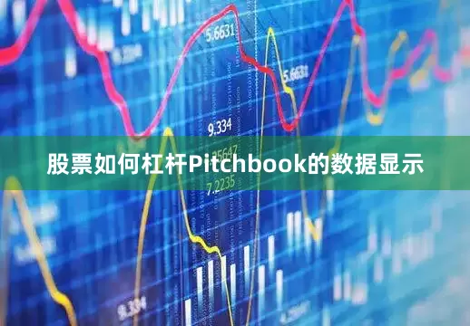 股票如何杠杆Pitchbook的数据显示